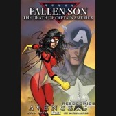 Fallen Son #2 Avengers (Turner)