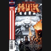 Incredible Hulk Volume 2 #84 (Variant)