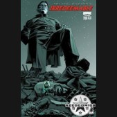 Irredeemable #15 (Cover B)