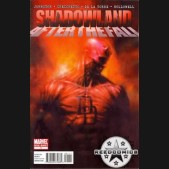 Shadowland After The Fall
