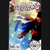 Web of Spiderman #1