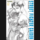 STREET FIGHTER GAIDEN VOLUME 1 GRAPHIC NOVEL
