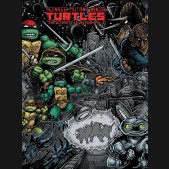 TEENAGE MUTANT NINJA TURTLES ULTIMATE COLLECTION VOLUME 2 HARDCOVER