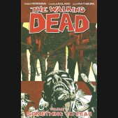 WALKING DEAD VOLUME 17 SOMETHING TO FEAR GRAPHIC NOVEL