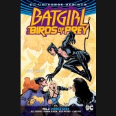 BATGIRL AND THE BIRDS OF PREY VOLUME 2 SOURCE CODE GRAPHIC NOVEL