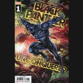 BLACK PANTHER UNCONQUERED #1