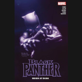BLACK PANTHER BY EWING VOLUME 1 REIGN AT DUSK GRAPHIC NOVEL