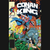 KING CONAN THE ORIGINAL COMICS OMNIBUS VOLUME 2 HARDCOVER JUDITH HUNT DM VARIANT COVER