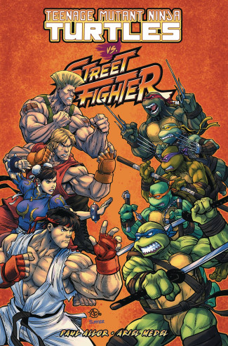 TEENAGE MUTANT NINJA TURTLES VS STREET FIGHTER GRAPHIC NOVEL