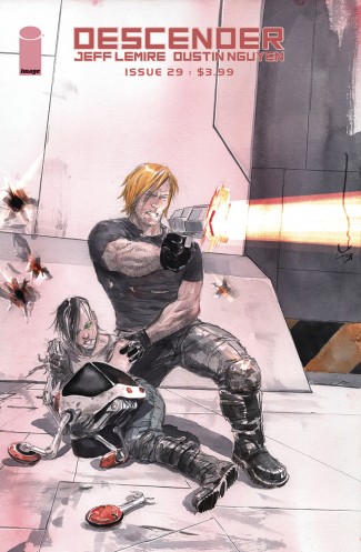 DESCENDER #29