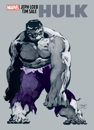 JEPH LOEB AND TIM SALE HULK GRAPHIC NOVEL