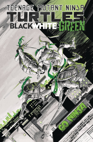 TEENAGE MUTANT NINJA TURTLES BLACK WHITE AND GREEN GRAPHIC NOVEL