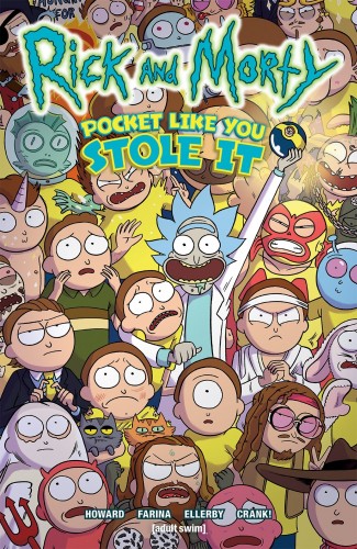 RICK AND MORTY POCKET LIKE YOU STOLE IT GRAPHIC NOVEL