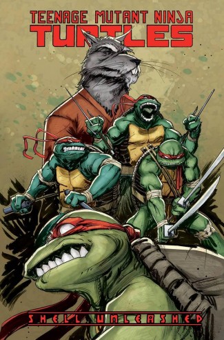 TEENAGE MUTANT NINJA TURTLES VOLUME 1 SHELL UNLEASHED GRAPHIC NOVEL