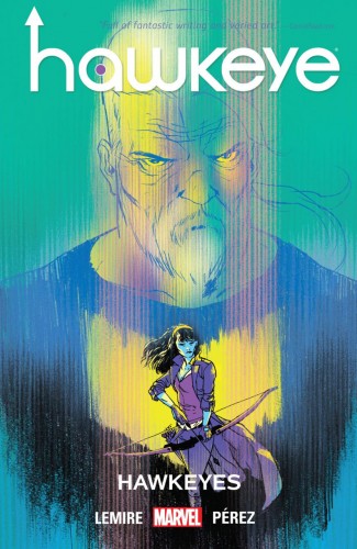 HAWKEYE VOLUME 6 HAWKEYES GRAPHIC NOVEL