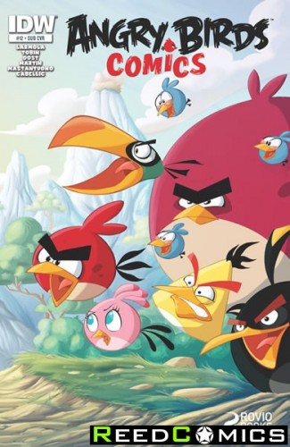 Angry Birds #12 (Subscription Variant Cover)