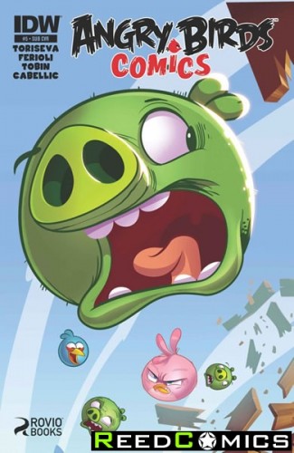 Angry Birds #5 (Subscription Variant Cover)
