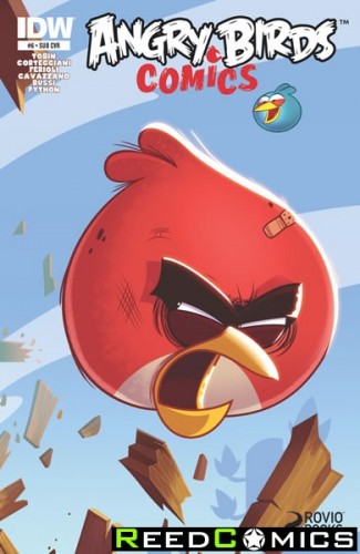 Angry Birds #6 (Subscription Variant Cover)