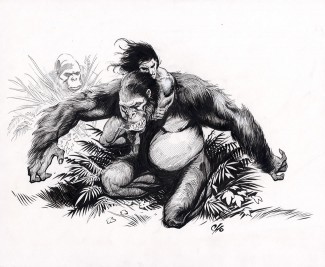 Frank Cho Original Comic Art - Tarzan & The Apes