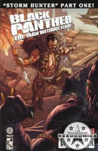 Black Panther The Man Without Fear #519