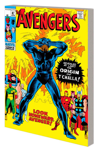 MIGHTY MARVEL MASTERWORKS BLACK PANTHER VOLUME 2 LOOK HOMEWARD GRAPHIC NOVEL JOHN BUSCEMA DM COVER