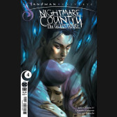 SANDMAN UNIVERSE NIGHTMARE COUNTRY THE GLASS HOUSE #4