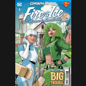 FIRE & ICE WELCOME TO SMALLVILLE #1 