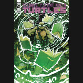 TEENAGE MUTANT NINJA TURTLES ONGOING #142 (2011 SERIES)