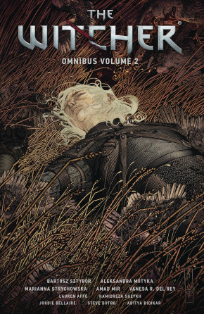 WITCHER OMNIBUS VOLUME 2 GRAPHIC NOVEL