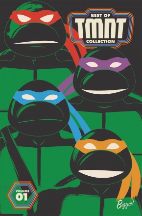 TEENAGE MUTANT NINJA TURTLES BEST OF TMNT COLLECTION VOLUME 1 GRAPHIC NOVEL