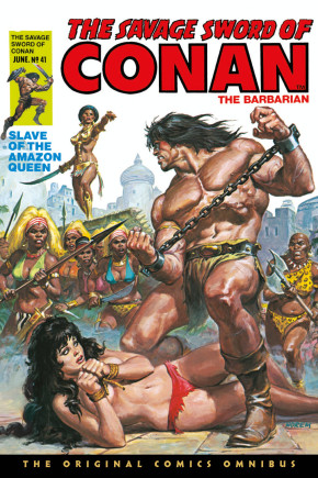 SAVAGE SWORD OF CONAN THE ORIGINAL COMICS OMNIBUS VOLUME 3 HARDCOVER EARL NOREM DM VARIANT COVER