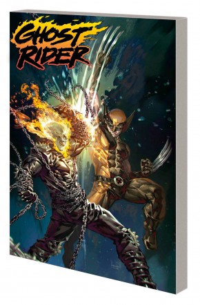 GHOST RIDER VOLUME 2 SHADOW COUNTY GRAPHIC NOVEL