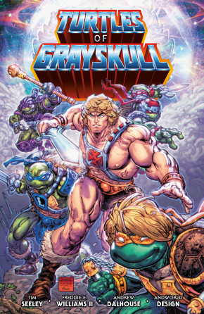 MASTERS OF THE UNIVERSE TEENAGE MUTANT NINJA TURTLES TURTLES OF GRAYSKULL GRAPHIC NOVEL