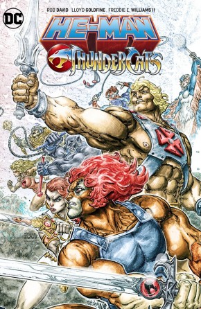 HE-MAN THUNDERCATS GRAPHIC NOVEL