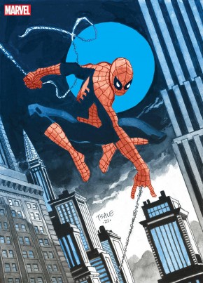 JEPH LOEB TIM SALE SPIDER-MAN GALLERY EDITION HARDCOVER TIM SALE DM VARIANT COVER