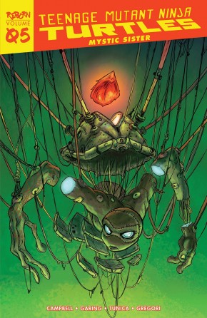 TEENAGE MUTANT NINJA TURTLES REBORN VOLUME 5 MYSTIC SISTER GRAPHIC NOVEL