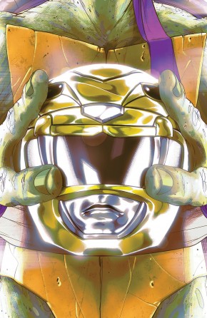 MIGHTY MORPHIN POWER RANGERS TEENAGE MUTANT NINJA TURTLES #2 DONATELLO COVER