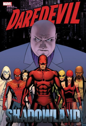 DAREDEVIL SHADOWLAND OMNIBUS HARDCOVER JOHN CASSADAY COVER