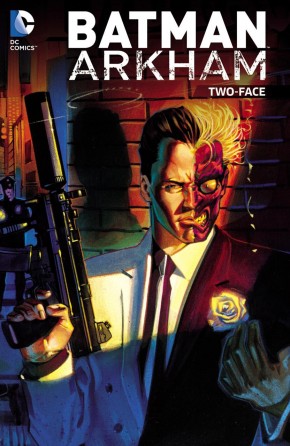 BATMAN ARKHAM TWO FACE GRAPHIC NOVEL