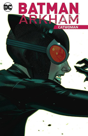 BATMAN ARKHAM CATWOMAN GRAPHIC NOVEL