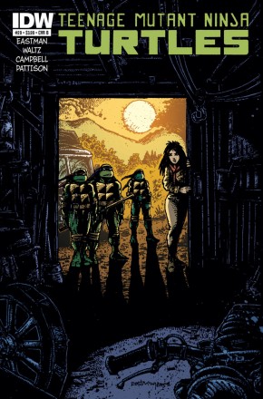 TEENAGE MUTANT NINJA TURTLES (2011 SERIES) #29