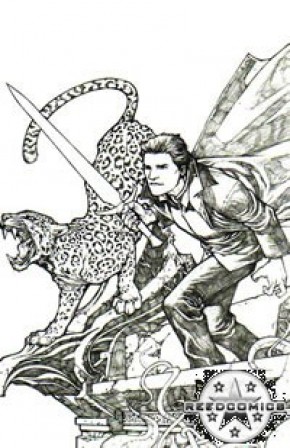 Angel After The Fall #18 (1:25 Incentive)