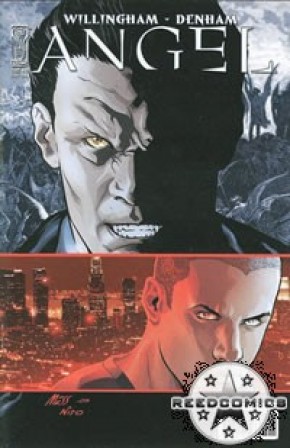 Angel After The Fall #29 (Cover B)