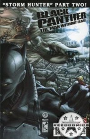 Black Panther The Man Without Fear #520