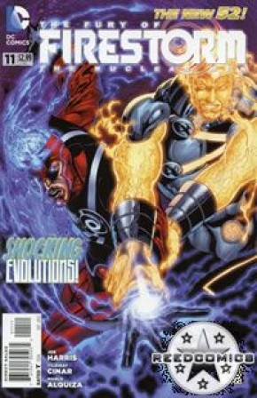 The Fury of Firestorm (2011) #11