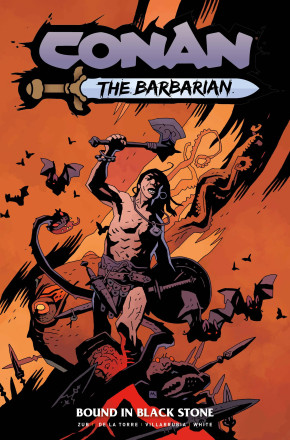 CONAN THE BARBARIAN VOLUME 1 GRAPHIC NOVEL MIKE MIGNOLA DM VARIANT COVER